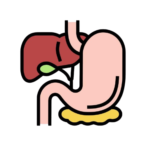 gastrointestinal tract color icon illustration vector removebg preview